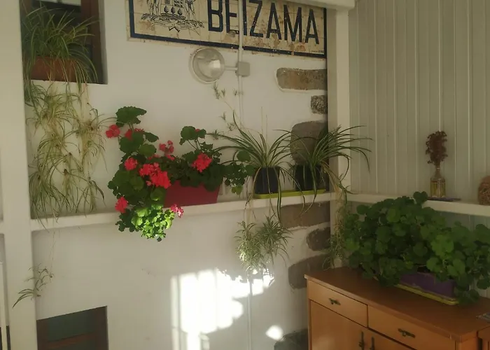 Hostel Beizamako Aterpetxea - Turistico De Beizama